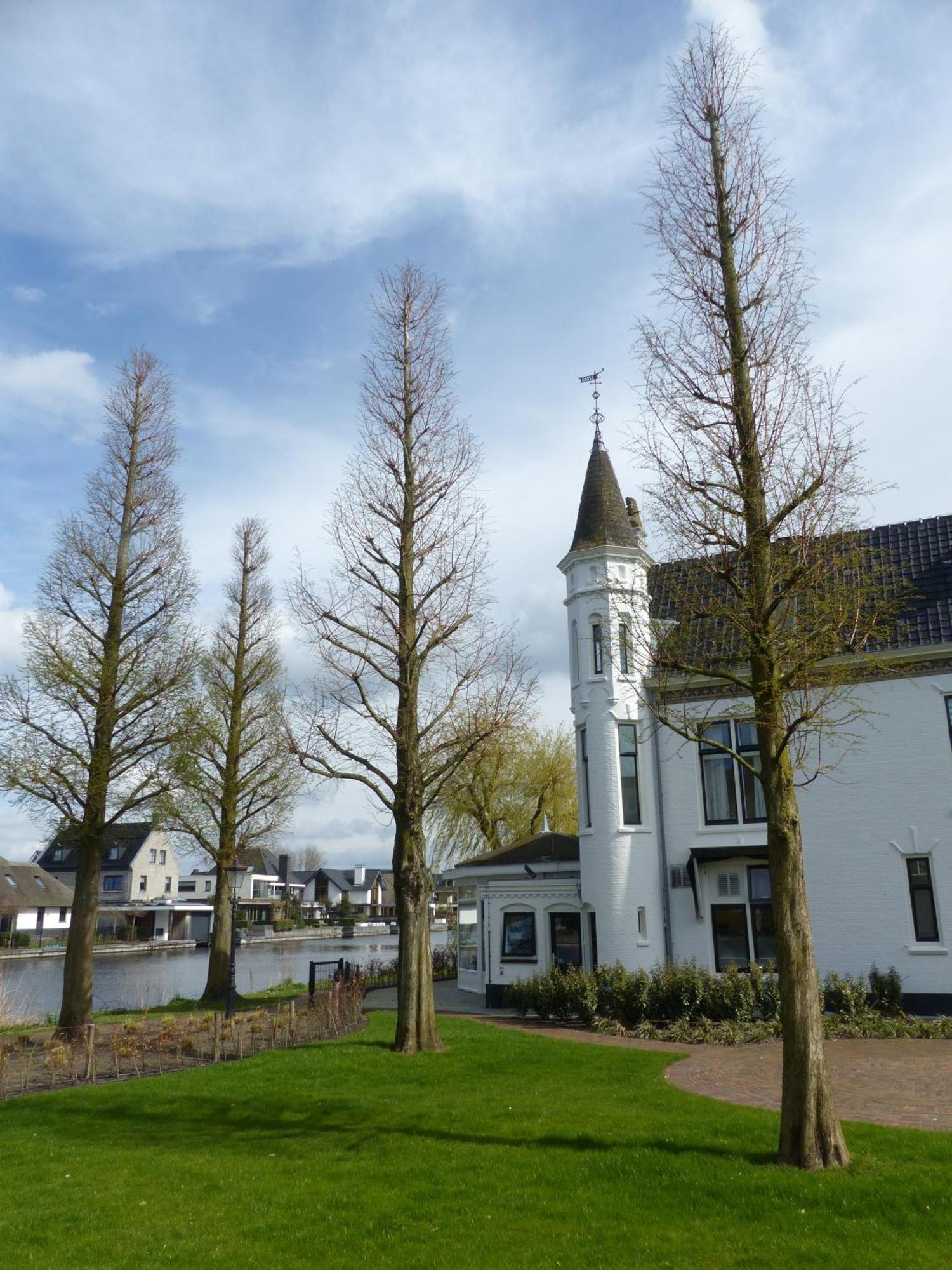 Herberg Welgelegen Hotel Katwijk aan Zee Exterior photo